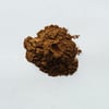 Reishi x25 Extract