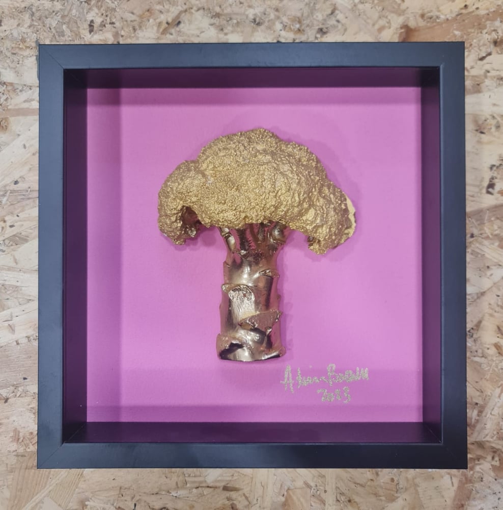 Image of RARE REGAL III