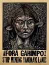 Fora Garimpo