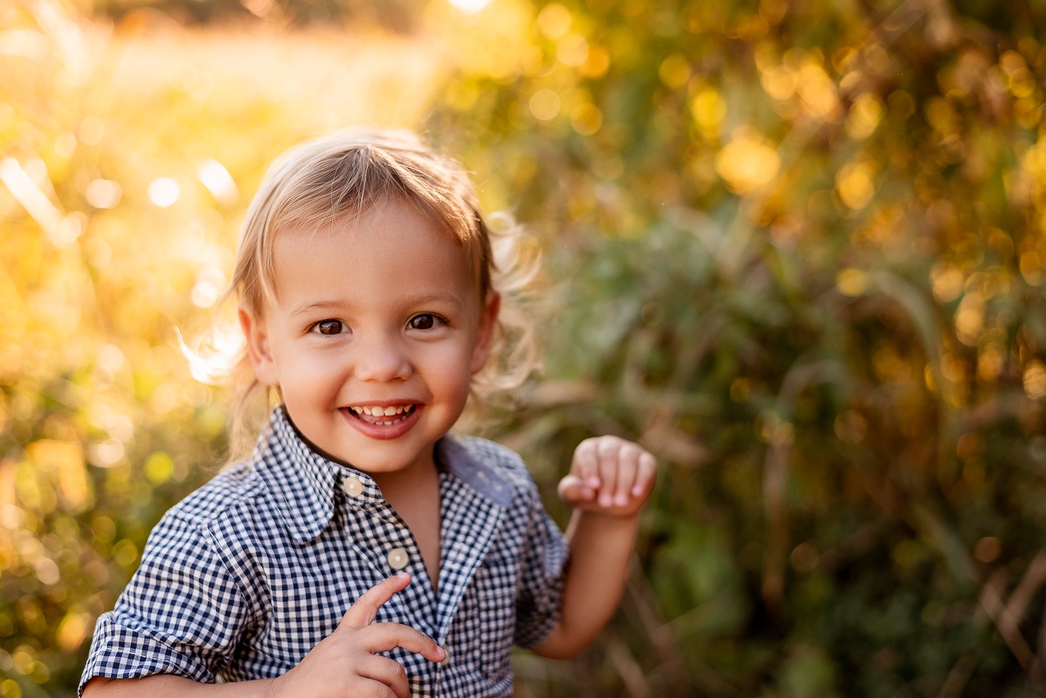 Image of Fall Family Mini Sessions 2023