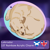 Image 1 of Labrador Rainbow Keychain
