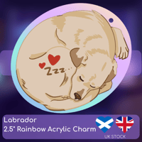 Image 2 of Labrador Rainbow Keychain