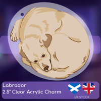 Image 3 of Labrador Clear Keychain