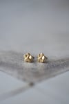 18K Gold Forget-Me-Not-Studs