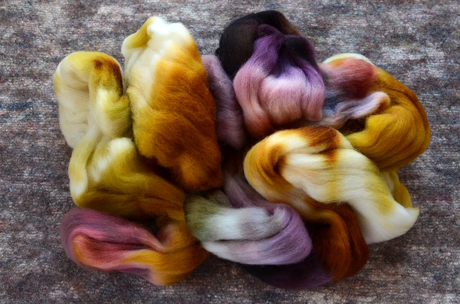 Image of "Smell of Sugar" Corriedale Wool Spinning Fiber - 4 oz.