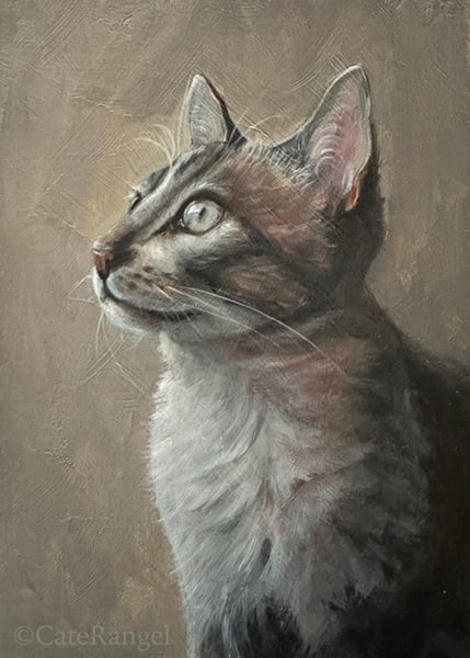 Image of Daydreaming Cat - Original Painting