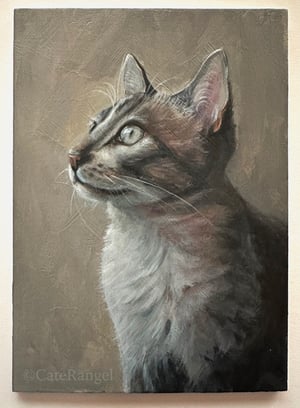 Image of Daydreaming Cat - Original Painting