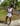 He for the streets dress 