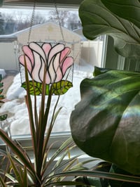 Image 1 of Pink tulip
