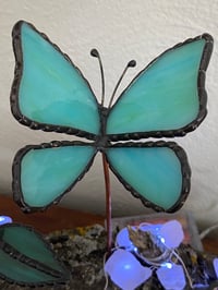 Image 2 of Butterflies in the wild