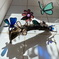 Image 1 of Butterflies in the wild