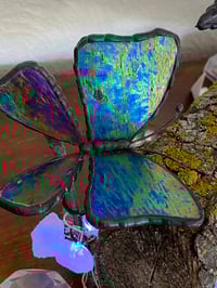 Image 3 of Butterflies in the wild