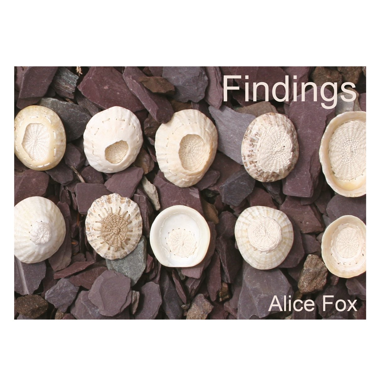Findings - book | Alice Fox