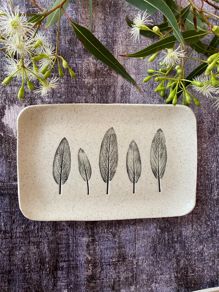 Image of Sage Plate 2