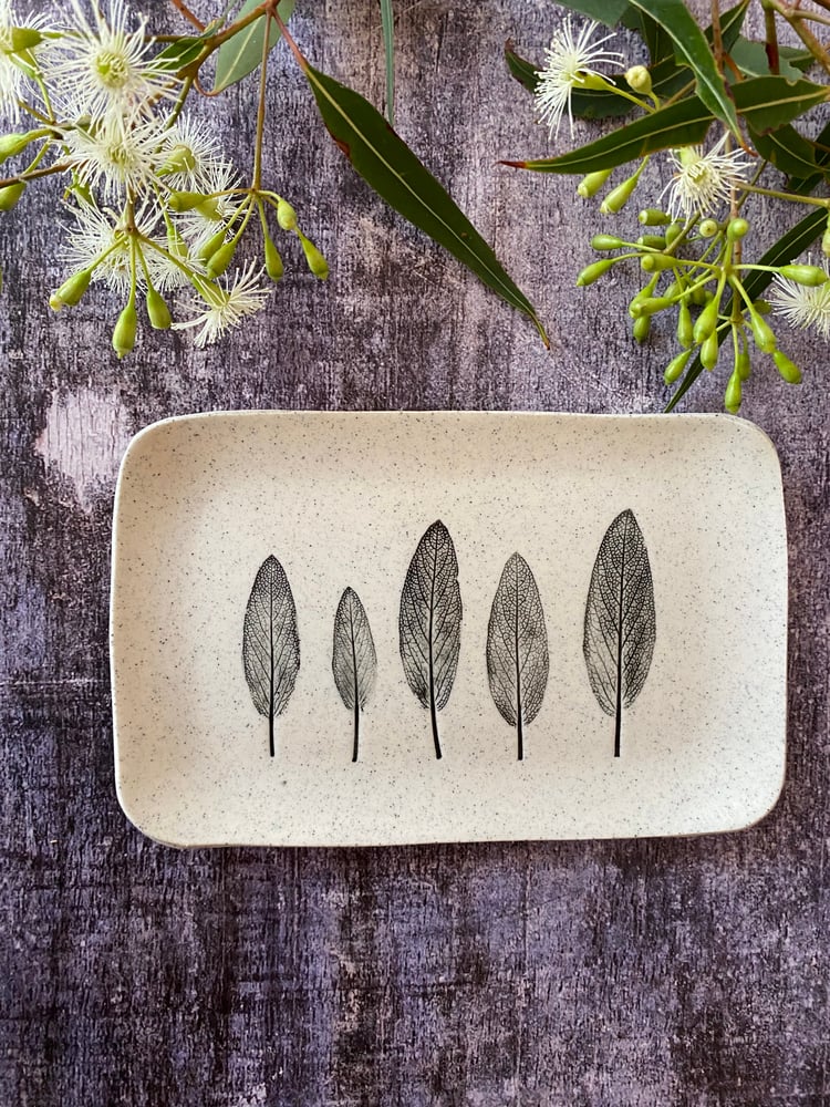 Image of Sage Plate 4