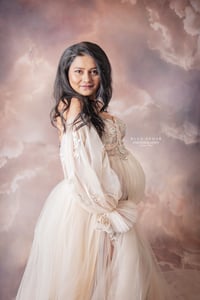 Image 1 of Mini Maternity Session