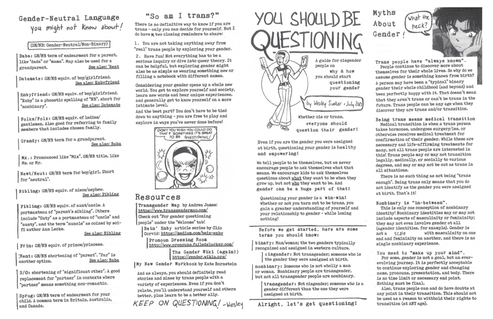 Image of You Should Be Questioning: A guide to gender questioning