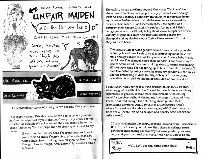 Image of Unfair Maiden #2: The Demiboy Issue