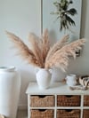 Pampas + Vase Arrangement 