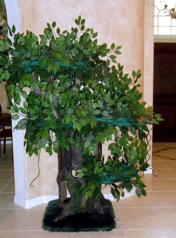 Cat Trees that look like real Trees A Fantasy Forest