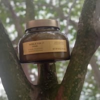 NOBLE FIR & PINE CANDLE