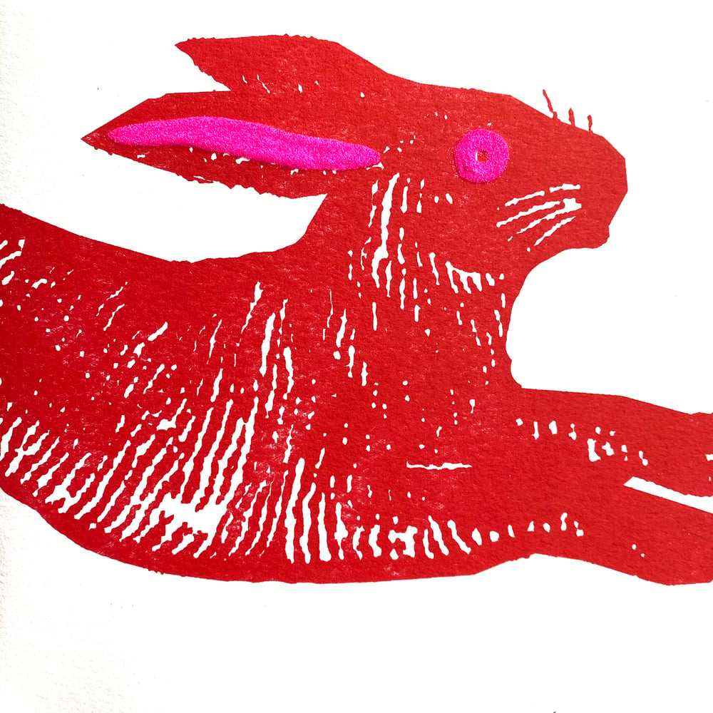 Image of Large Black Rabbit  or Large Red Rabbit