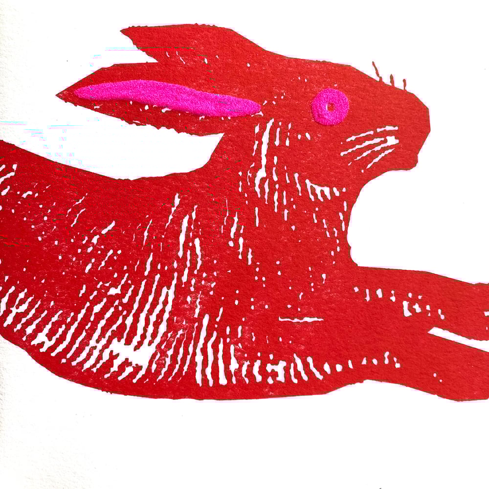 Image of Large Black Rabbit  or Large Red Rabbit