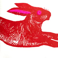 Image 3 of Large Black Rabbit  or Large Red Rabbit