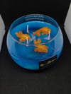 The Fish Bowl