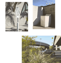 CALI CHRONICLES XXV EDITION   