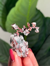 Image 3 of COPPER X MALACHITE STAINED QUARTZ -MOROCCO- A