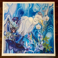 Image 2 of Orchidaceae caeli ~ limited edition print 