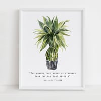 'Bamboo' Illustration Art Print