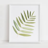 'Ash Leaf' Watercolor Art Print