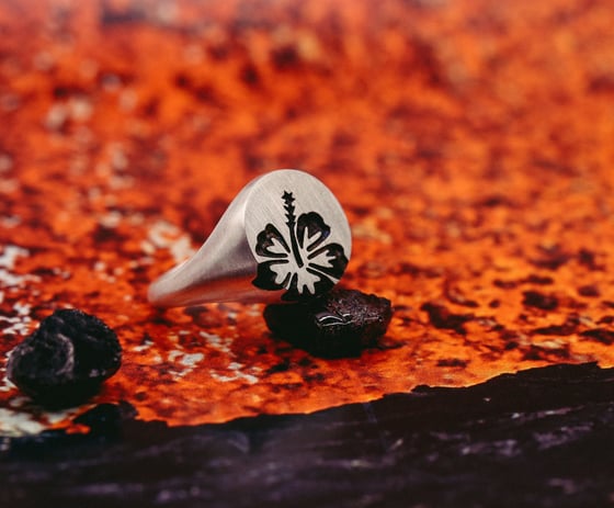 Image of Hibiscus Signet 