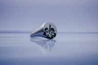 Image 5 of Hibiscus Signet 