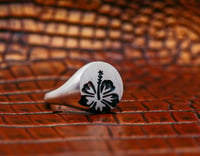 Image 4 of Hibiscus Signet 