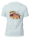 Hogfish “the other white meat”