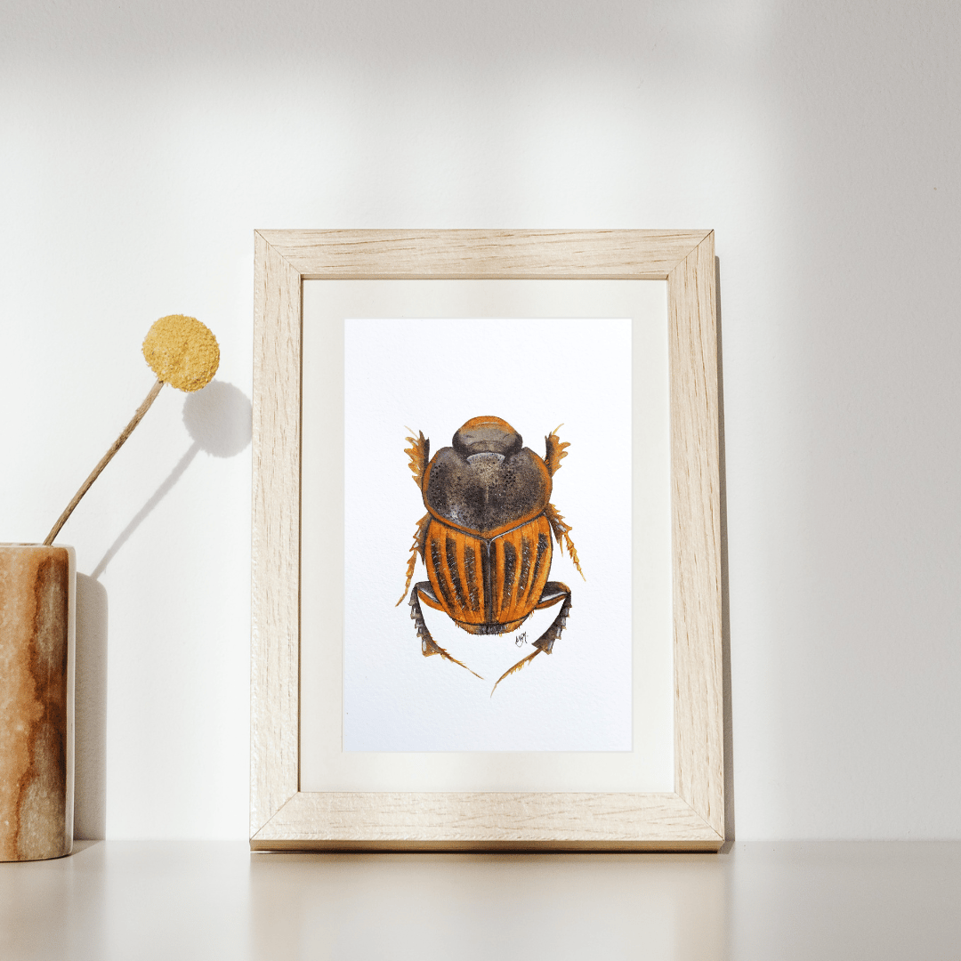 Image of Dung beetle watercolor illustration PRINT 