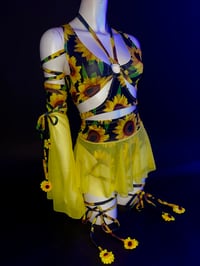 Image 1 of Molly - Final Balance 