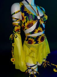 Image 2 of Molly - Final Balance 