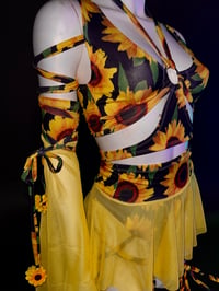 Image 3 of Molly - Final Balance 