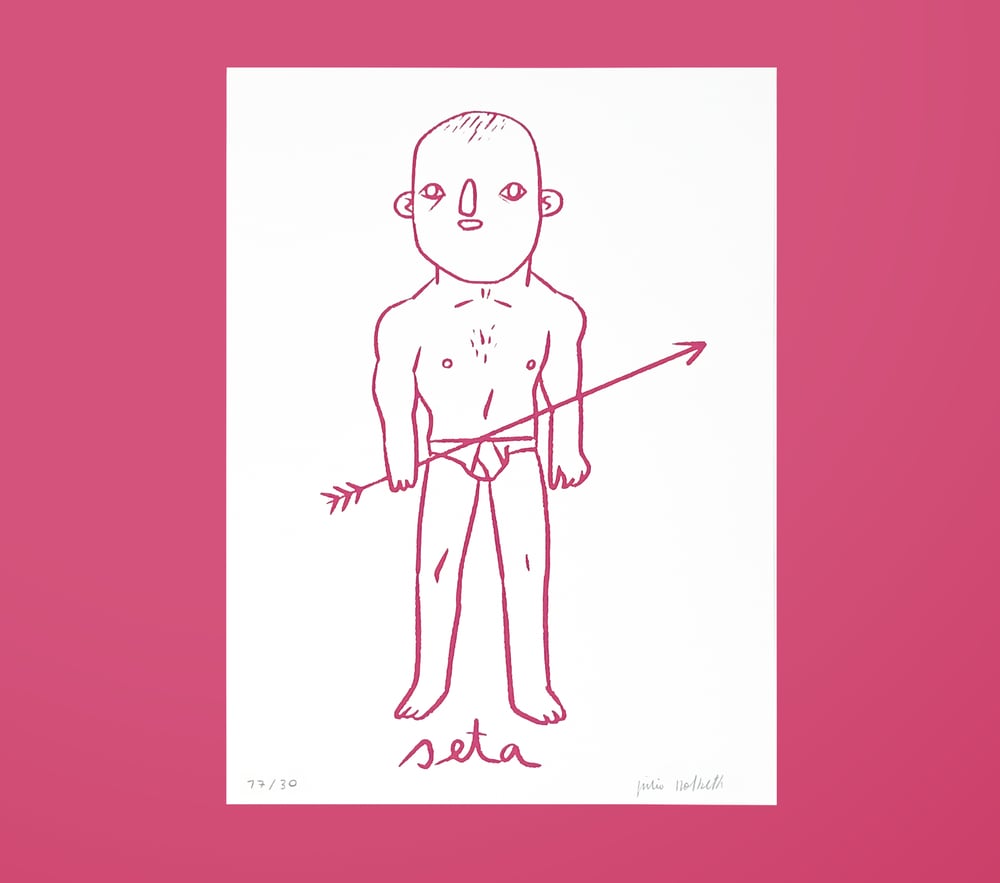 Image of Seta, Júlio Dolbeth