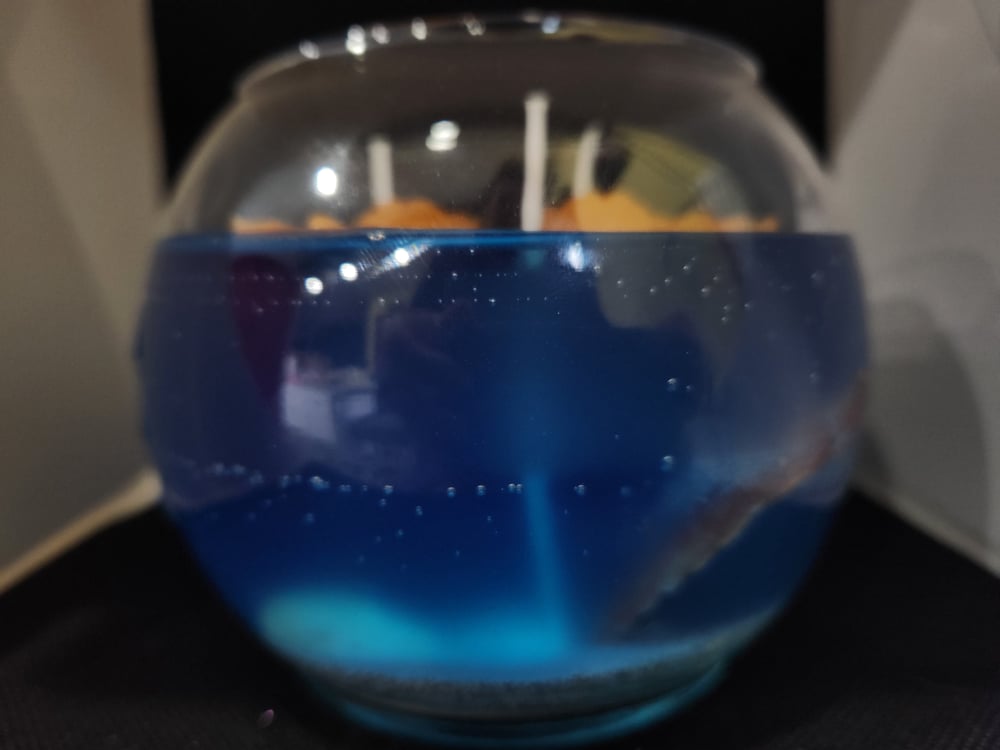 The Fish Bowl