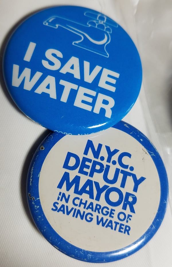 Image of Vintage NY Save Water Pins Duo