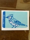 "Blue Jay #2" original linocut print