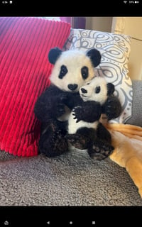 Image 1 of Fiber Panda and cub