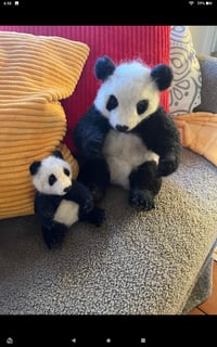 Image 3 of Fiber Panda and cub