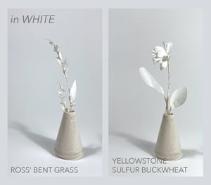 Image of Agnes in the Arctic (Vase)