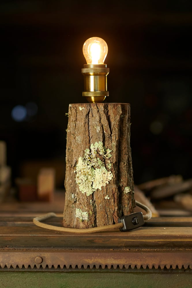 Image of LivingLamp 002, 003, 004, 005, 006